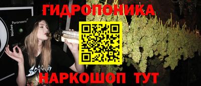 альфа пвп Волгодонск