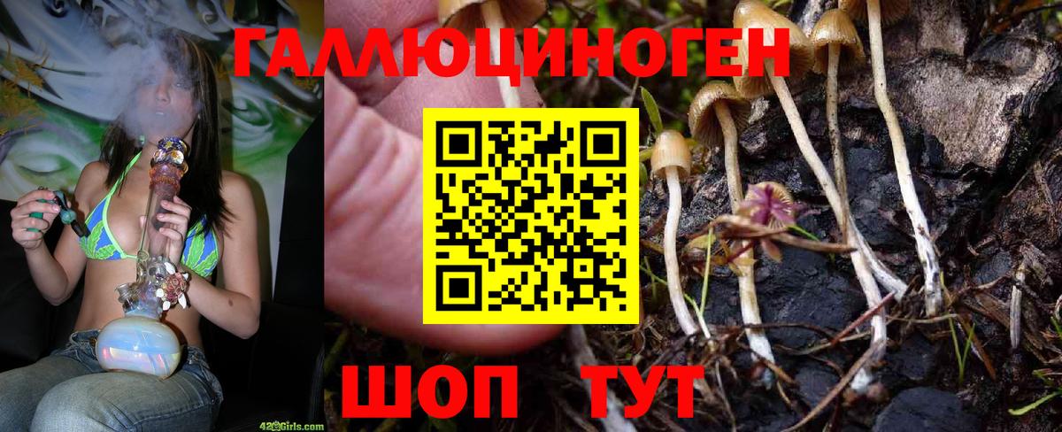 Псилоцибиновые грибы Magic Shrooms Москва